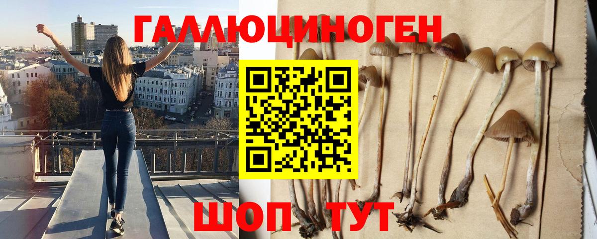 Магнитогорск  Псилоцибиновые грибы мицелий  Вход с VPN 